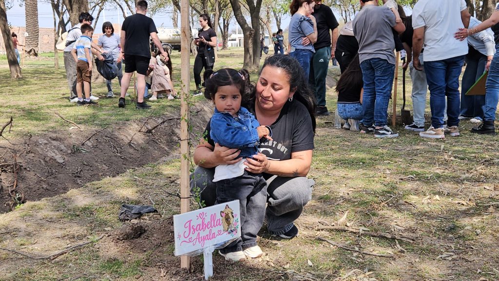 Plantaron 140 árboles en Los&nbsp;Espinillos